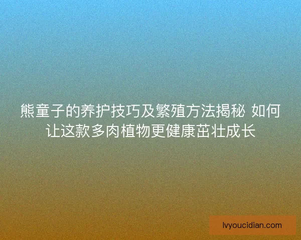 熊童子的养护技巧及繁殖方法揭秘 如何让这款多肉植物更健康茁壮成长
