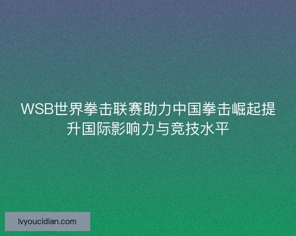 WSB世界拳击联赛助力中国拳击崛起提升国际影响力与竞技水平