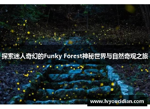 探索迷人奇幻的Funky Forest神秘世界与自然奇观之旅
